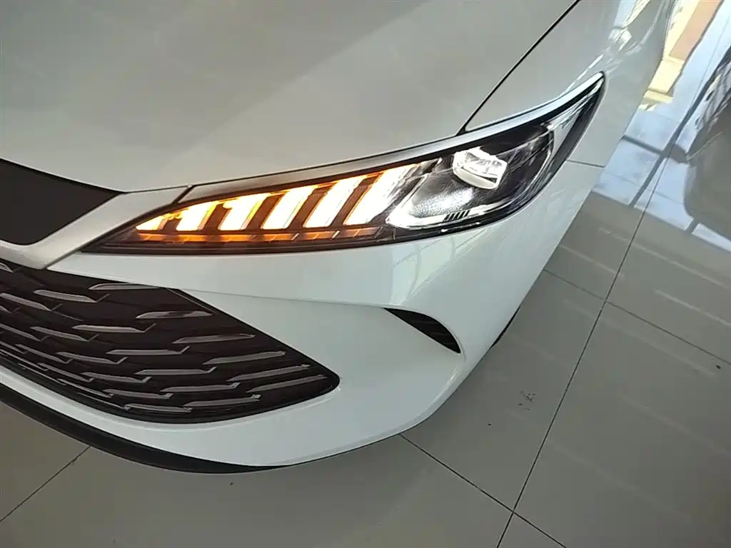 BYD Qin PLUS 2025 — фото 24
