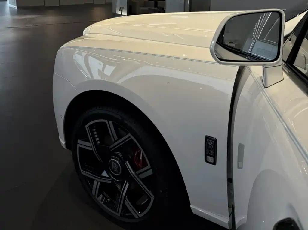 Rolls-Royce Cullinan — фото 16