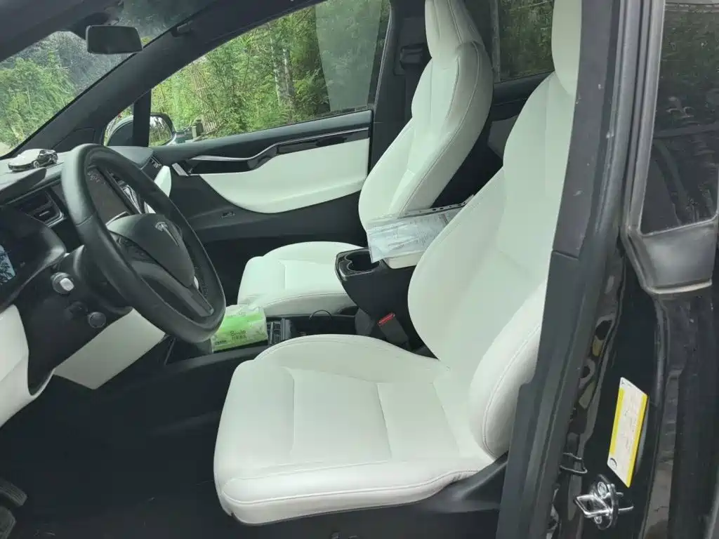 Tesla Model X 2020 — фото 11