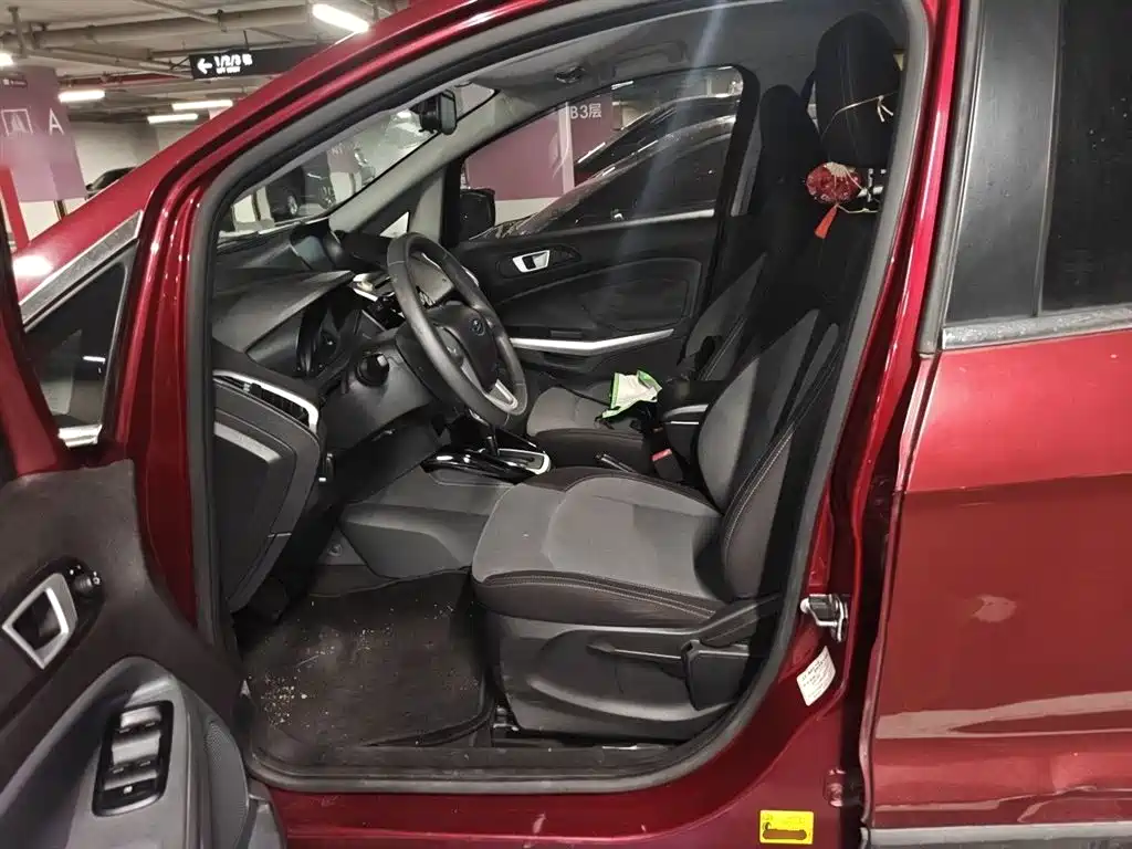 Ford Ecosport 2014 — фото 8