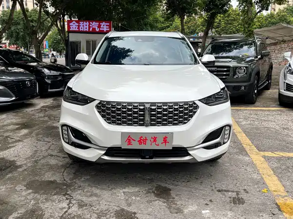 Wey VV6 2021