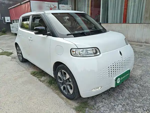 Ora White Cat 2021