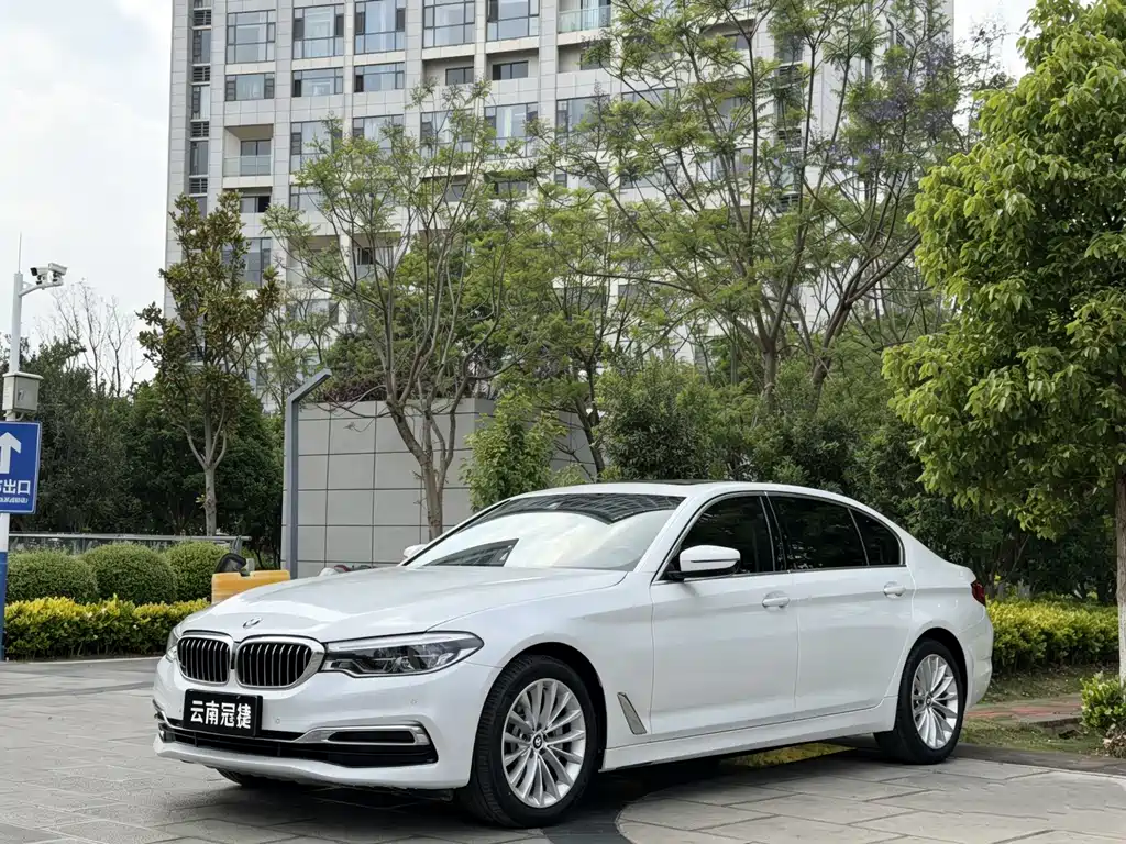 BMW 5 Series 2020 — фото 1