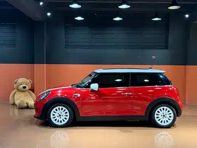 MINI MINI 2020