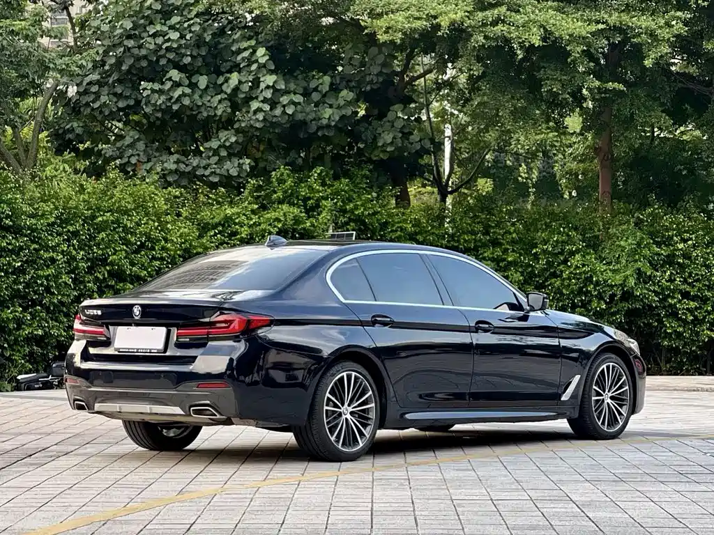 BMW 5 Series 2021