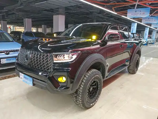 Great Wall Poer 2024