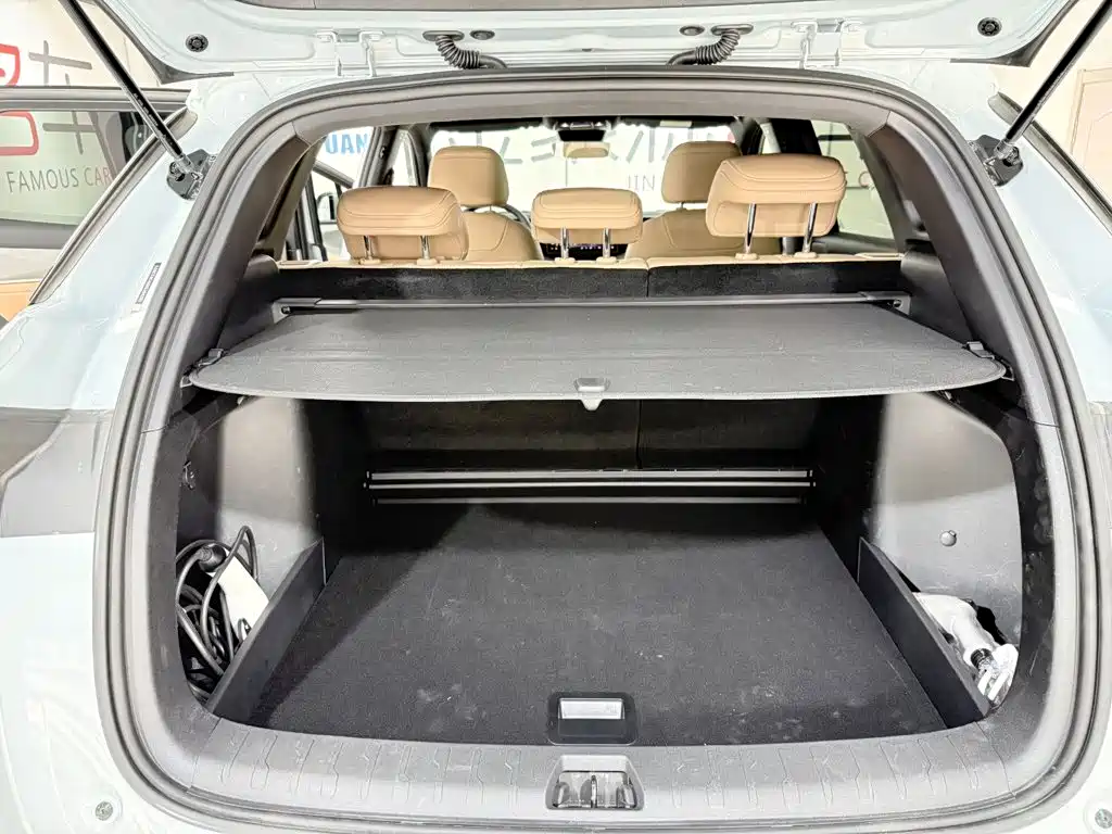 BYD Song L DM-i 2024 — фото 13