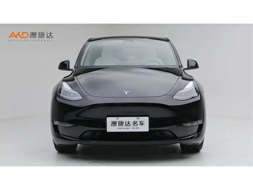 Tesla Model Y 2023 — фото 2