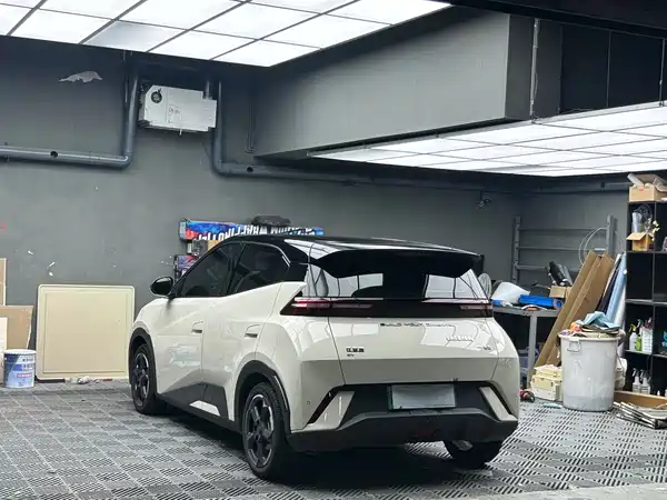 BYD Seagull 2024