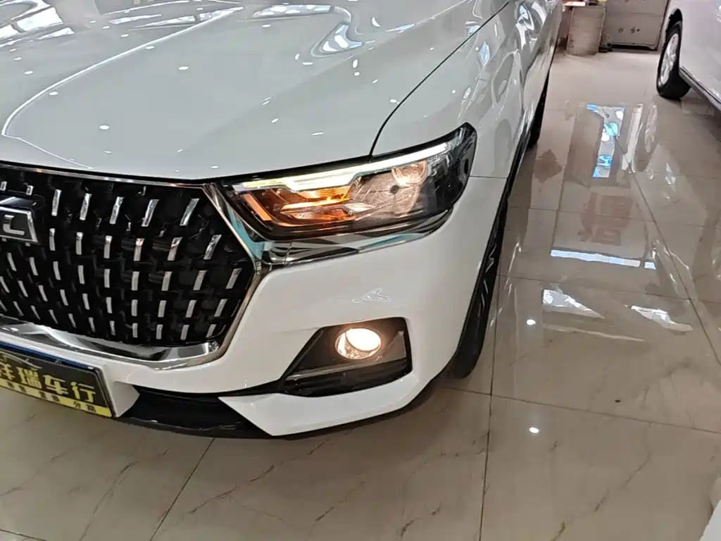 Haval H6 2023 — фото 24