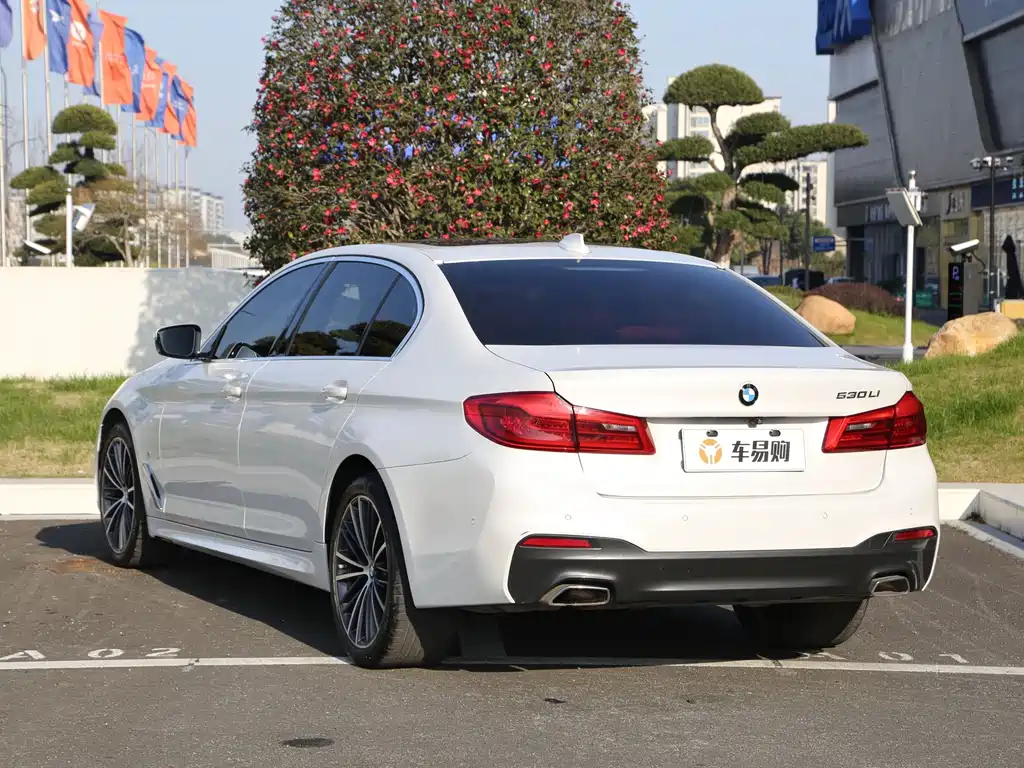 BMW 5 Series 2020 — фото 19