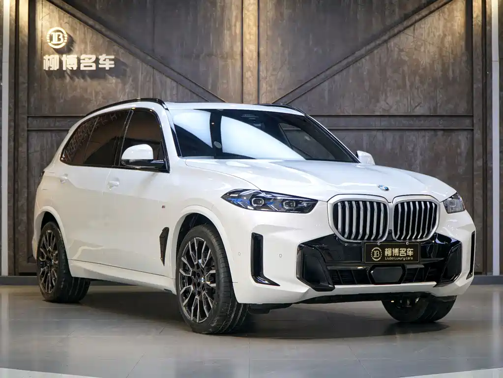 BMW X5 2024 — фото 24
