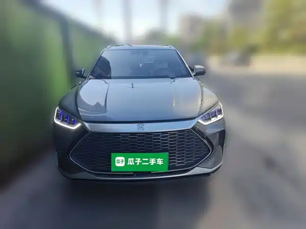 BYD Song PLUS New Energy 2021
