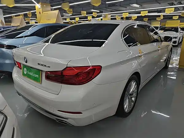 BMW 5 Series New Energy 2020