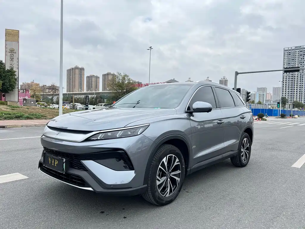 BYD Song Pro New Energy 2024 — фото 1