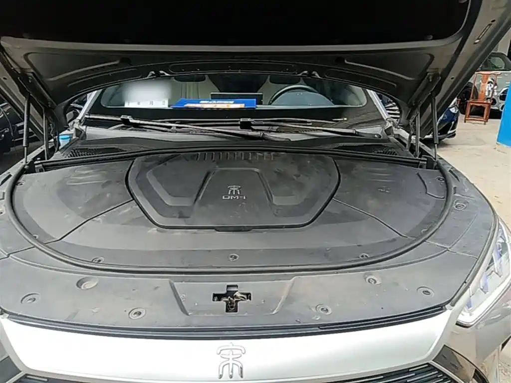 BYD PLUS New Energy 2022 — фото 20