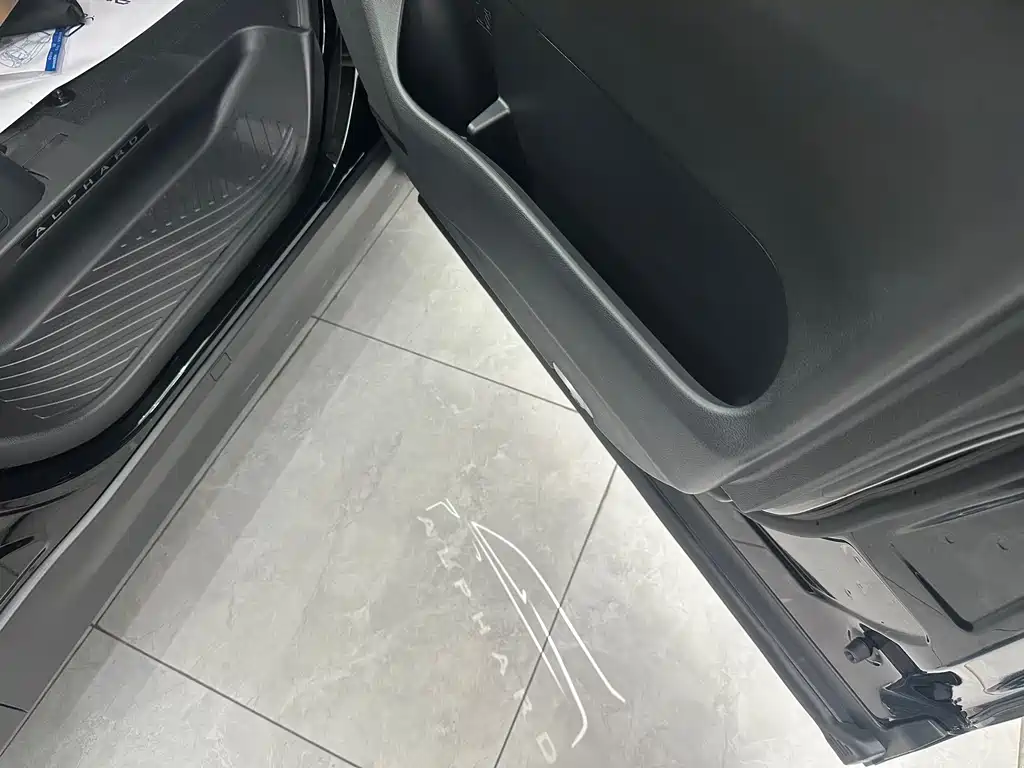Toyota Alphard — фото 19