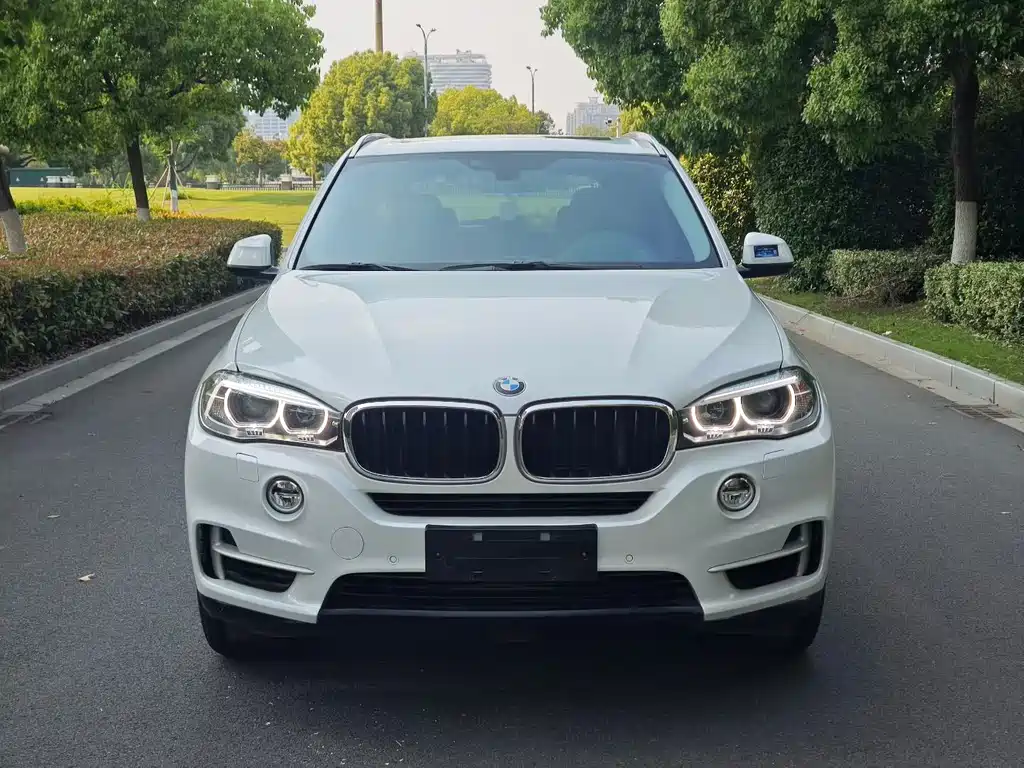 BMW X5 2015 — фото 2