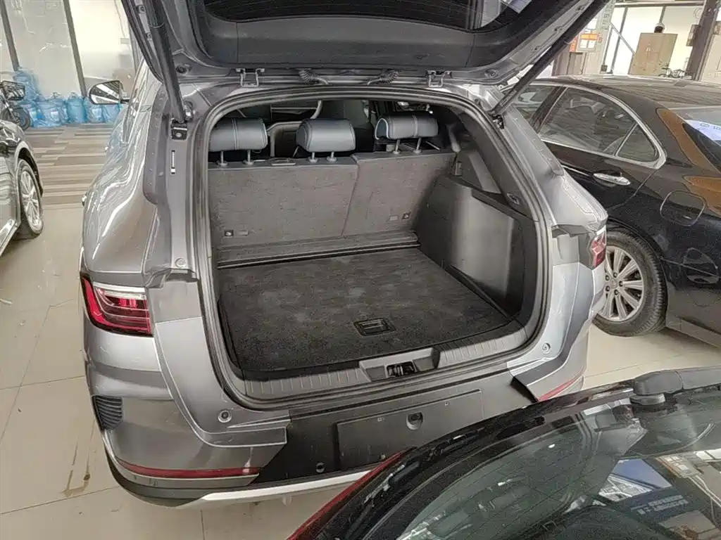 BYD PLUS New Energy 2023 — фото 19