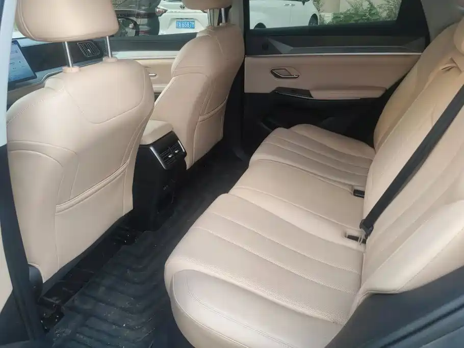 BYD Song Pro New Energy 2024 — фото 11