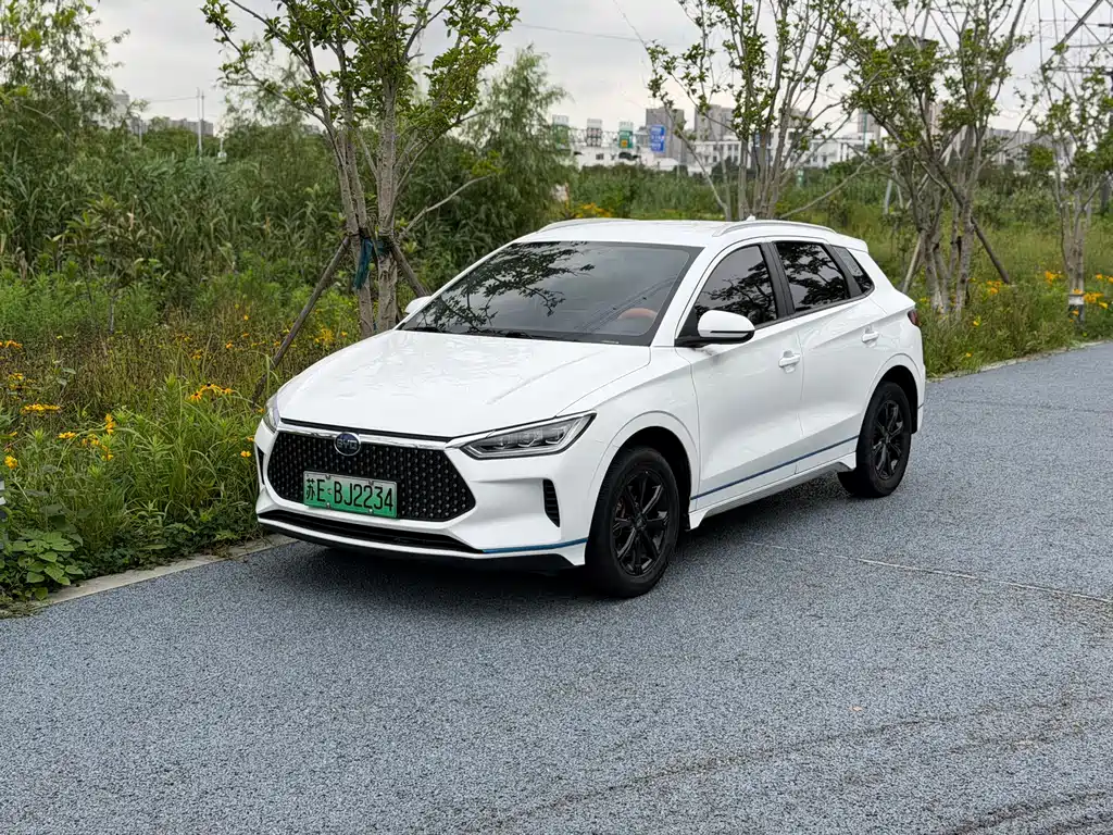 BYD e2 2020