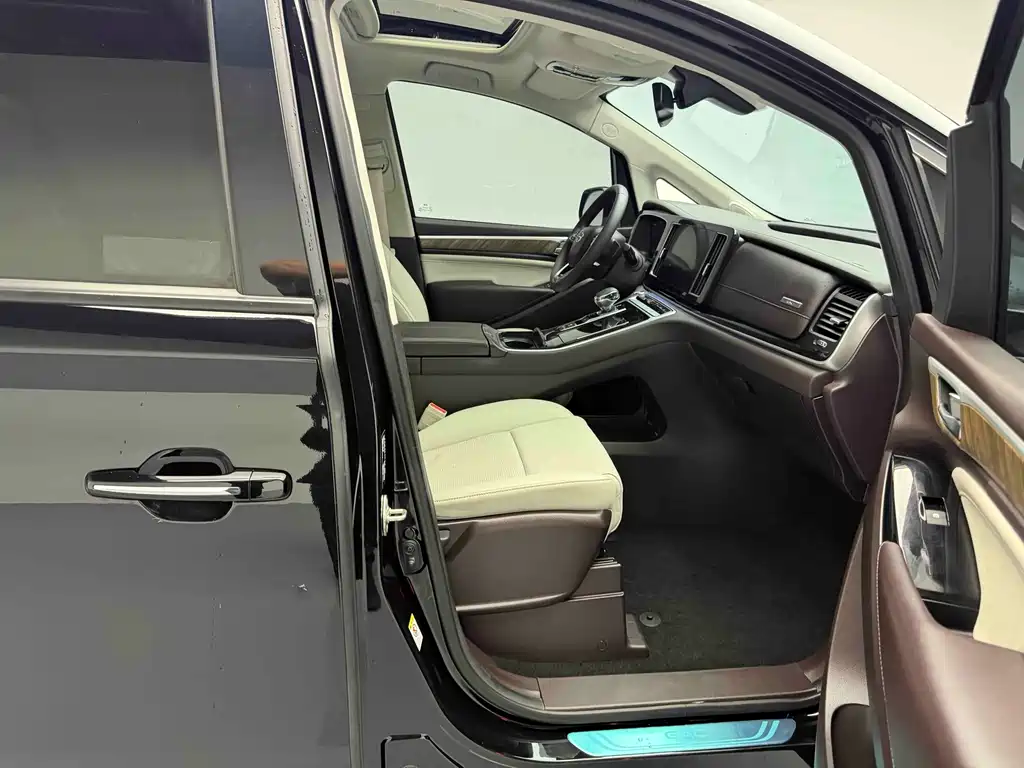 GAC Motor Trumpchi M8 2021 — фото 13