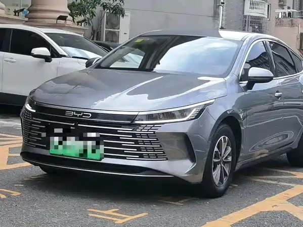 BYD Destroyer 05 2024