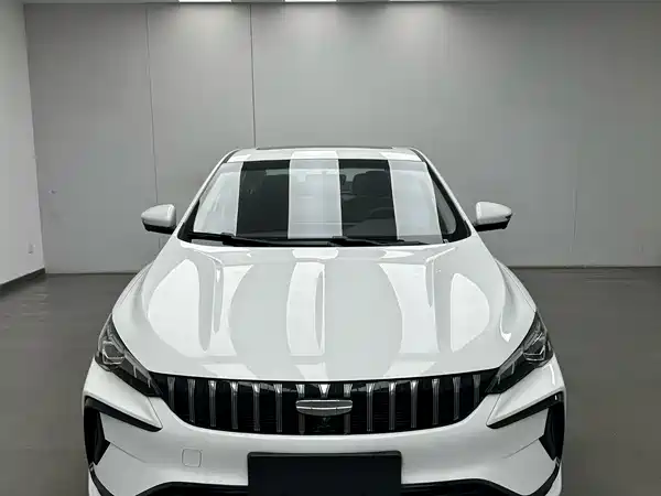 Geely Binrui 2024