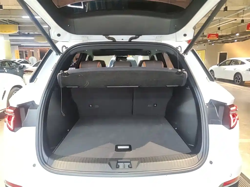 BYD Pro New Energy 2022 — фото 19