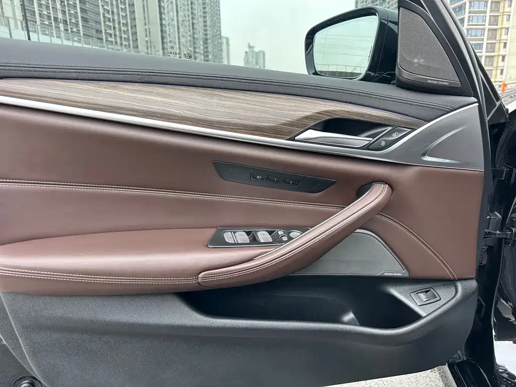 BMW 5 Series 2019