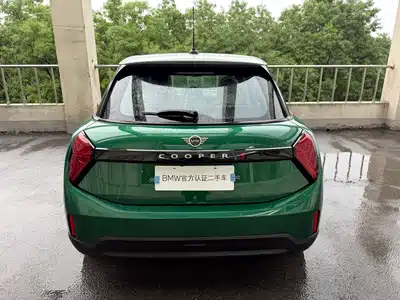 MINI MINI 2025