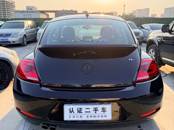Volkswagen Beetle 2013