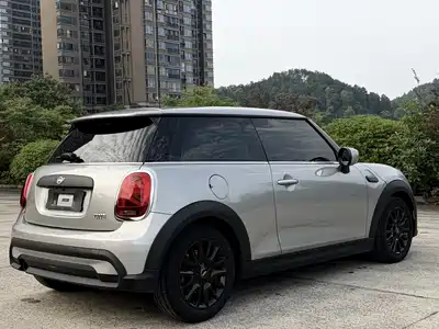 MINI MINI 2024