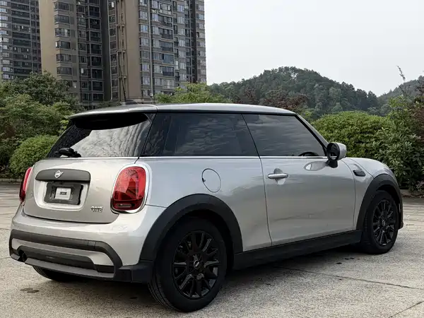 MINI MINI 2024