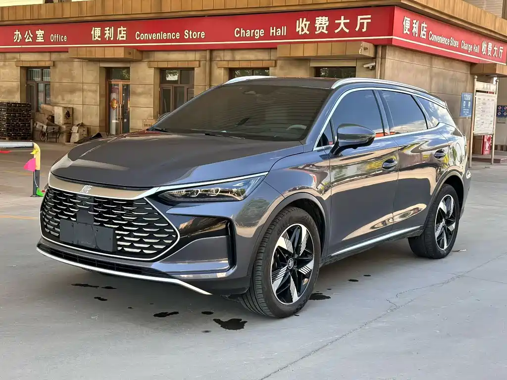 BYD Tang New Energy 2024 — фото 1