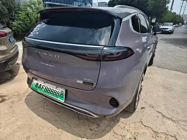 Denza X 2020