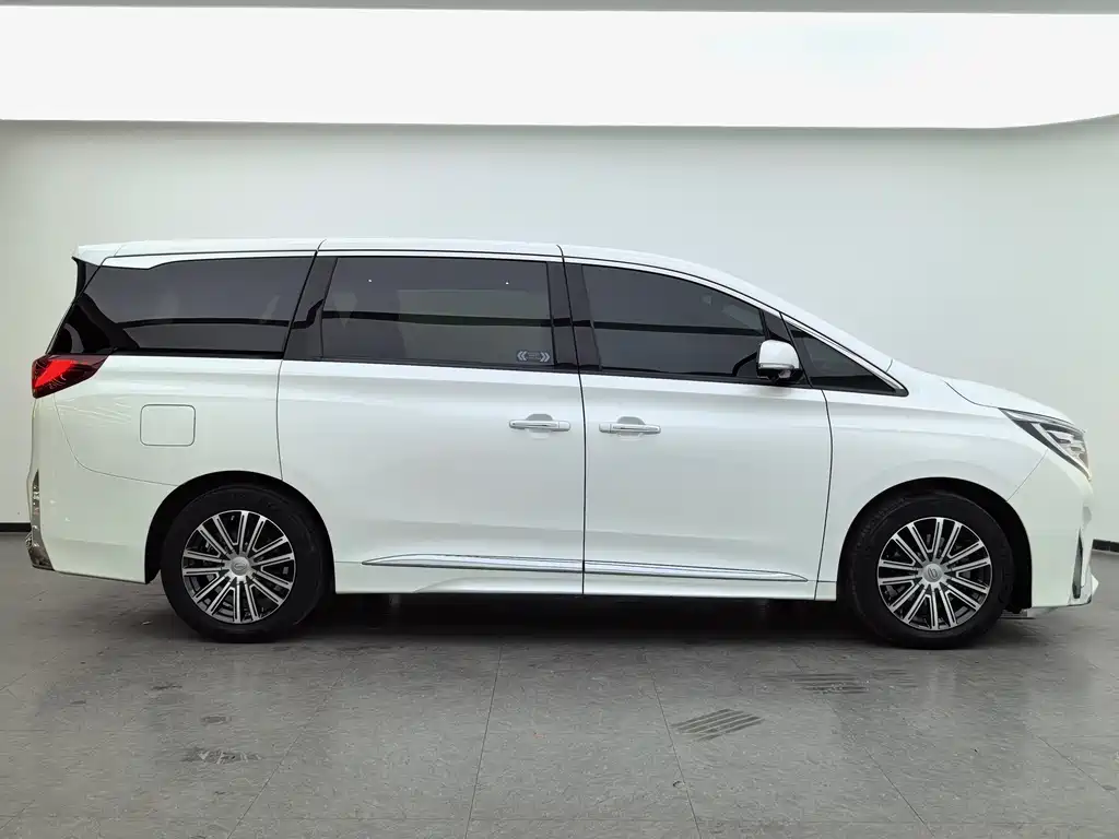 GAC Motor Trumpchi M8 2021 — фото 13