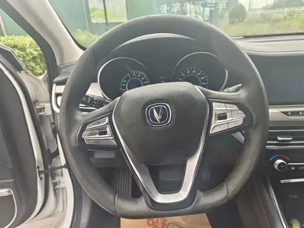 Changan Yidong New Energy 2019