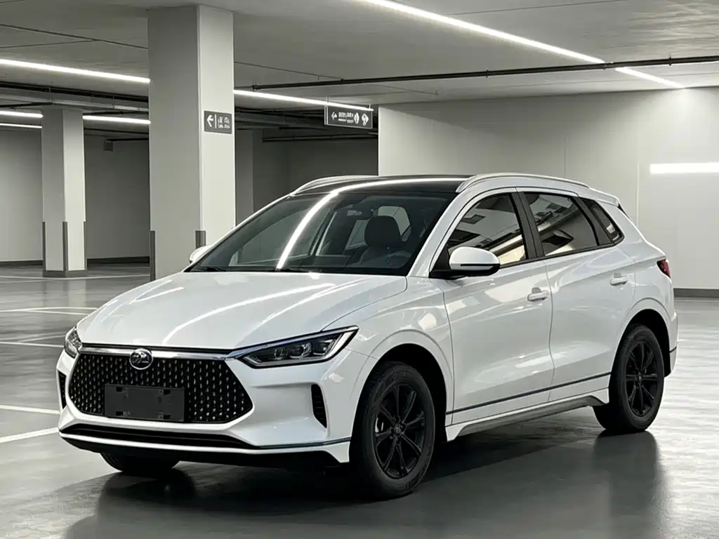 BYD e2 2020