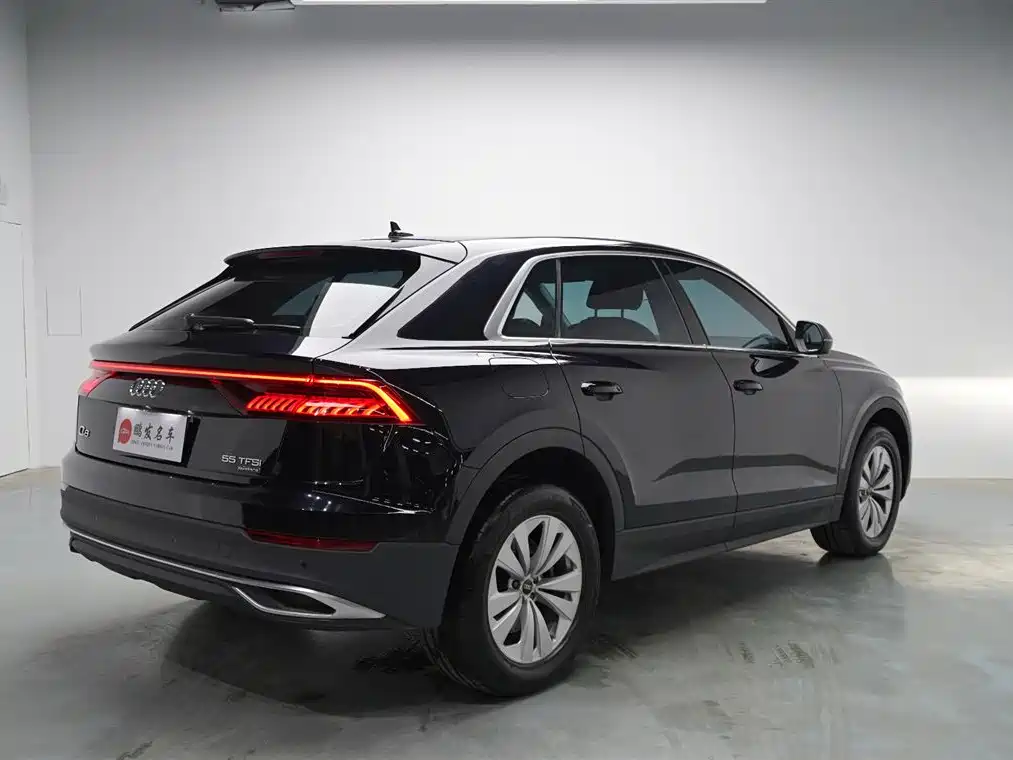 Audi Q8 2022 — фото 18