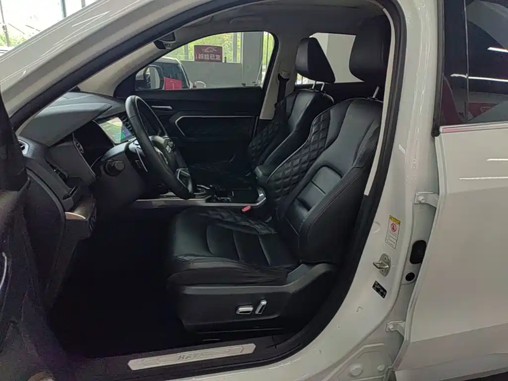 Haval H6 2020 — фото 15