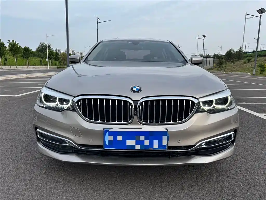 BMW 5 Series 2019