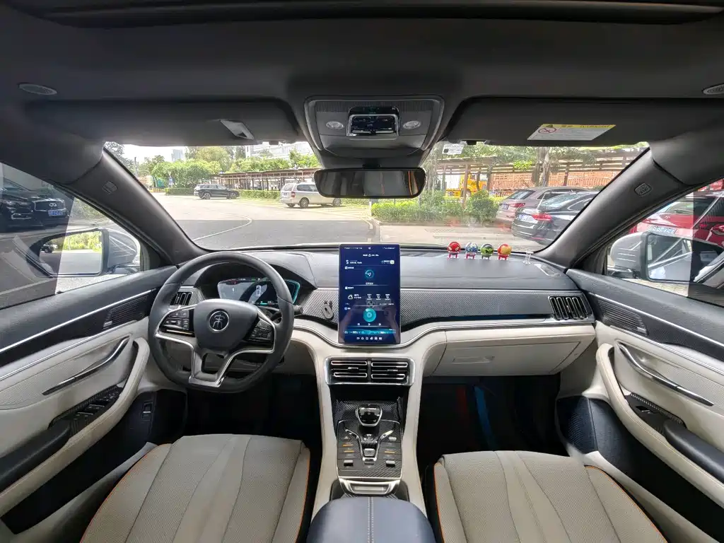 BYD PLUS New Energy 2022 — фото 18