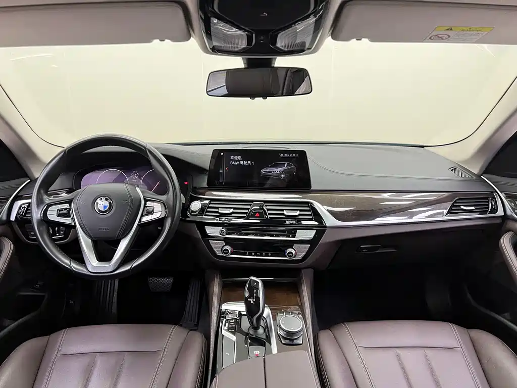 BMW 5 Series 2019 — фото 12