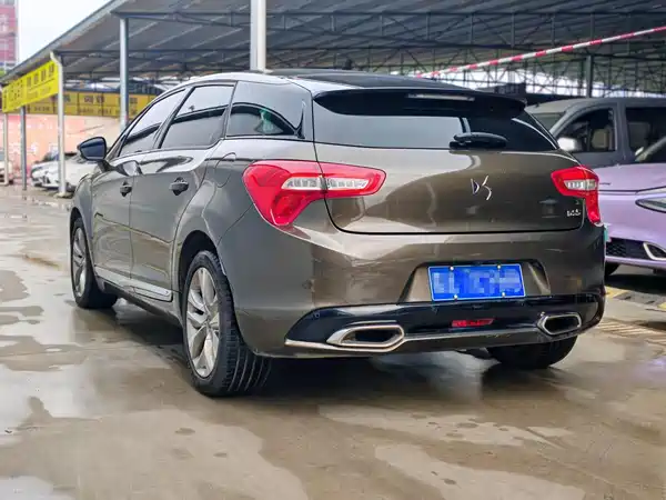 DS 5 2013