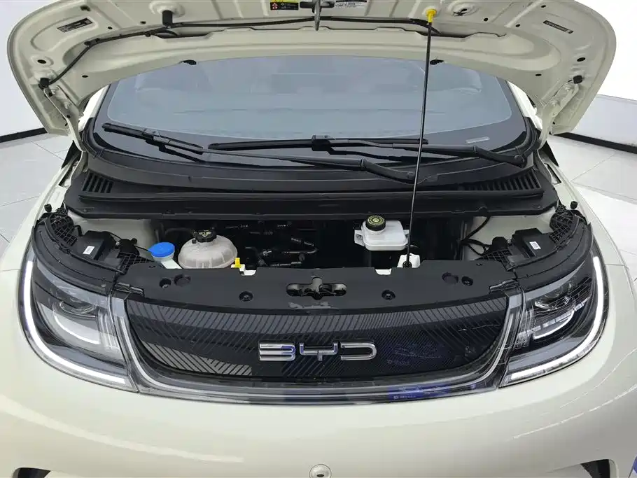 BYD Dolphin 2023 — фото 10