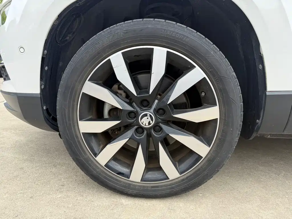 Skoda Karoq 2020 — фото 20