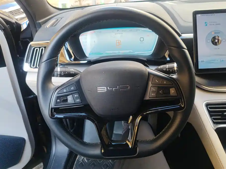 BYD PLUS New Energy 2023 — фото 15