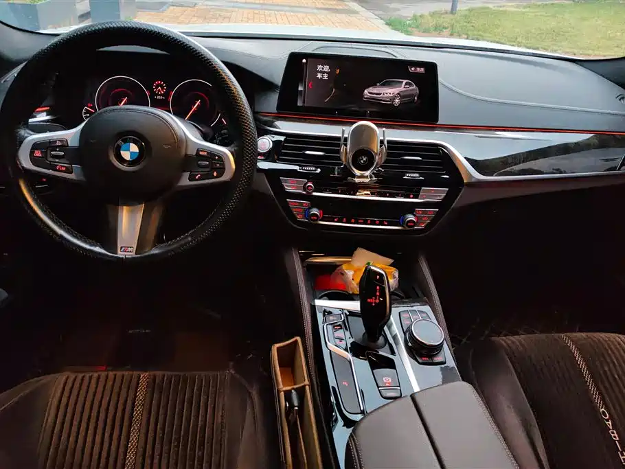 BMW 5 Series 2019 — фото 12