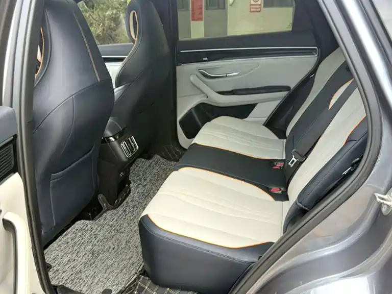 BYD Song PLUS New Energy 2022 — фото 23